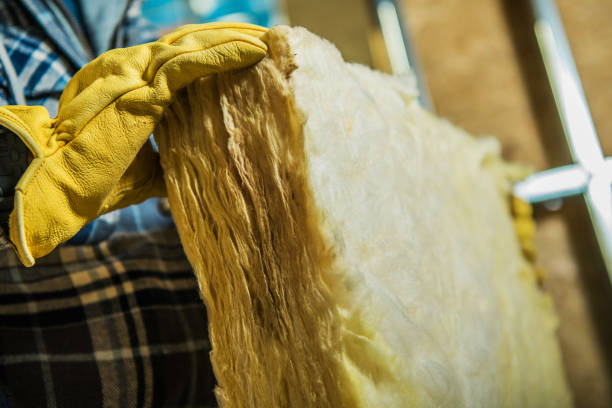 Best Insulation Contractor Near Me  in Rutland, VT